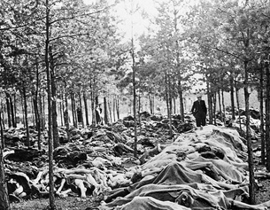 AP Tote Körper, Opfer aus den Konzentrationslager Belsen