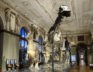 Sauriersaal im NHM