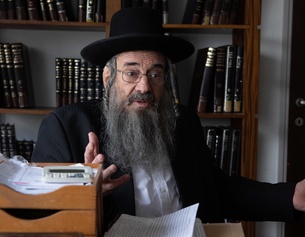 VERED ADIR Shulem (Dovale Glickman)