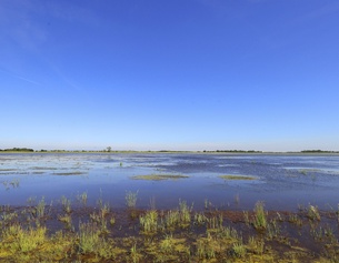 Nationalpark Neusiedler See - Seewinkel