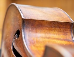 Körper eines Cellos, Violoncello