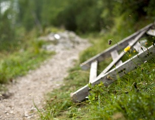 Eine Holztür liegt in der Wiese