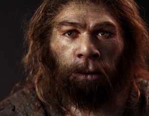 Rekonstruktion eines Neanderthalers
