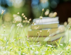 ORF/URSULA HUMMEL-BERGER Buch mit Wiese