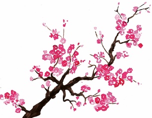 Gemalte Kirschblüte, Ausschnitt des Buchumschlags