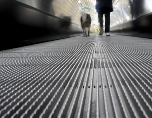 AFP/TIZIANA FABI Hund und Mann auf einer Rolltreppe