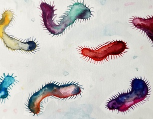 ORF/ISABELLE ORSINI ROSENBERG Illustration von abstrakten insektenartigen Wesen.