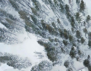 Verschneiter Wald in den USA, Vogelperspektive