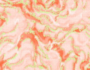 MAGDALENA KREINECKER Grafik "1007.orange"