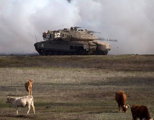 PICTUREDESK.COM/AP/ARIEL SCHALIT Panzer und Nutzvieh auf den Golanhöhen