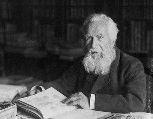 Ernst Haeckel