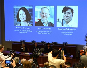 Nobelpreis der Medizin 2025: Mary E. Brunkow, Fred Ramsdell, Shimon Sakaguchi