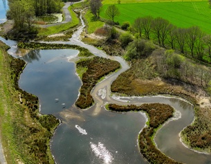 Renaturierter Bachlauf in Deutschland: grüne Wiese, Bäume und Wasser
