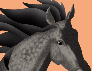 Gemaltes Pferd, Ausschnitt des Buchcovers