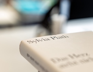 Buch von Sylvia Plath