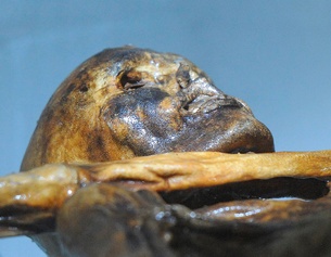 APA/ROBERT PARIGGER Die mumifizierte Leiche des "Ötzi"