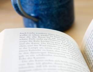 ORF/URSULA HUMMEL-BERGER Häferl und Buch von Marlen Haushofer