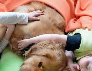 DPA/WALTRAUD GRUBITZSCH Kinder kuscheln mit einem Hund