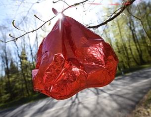 Herzballon, leerer Luftballon in Herzform hängt an einem Ast herunter