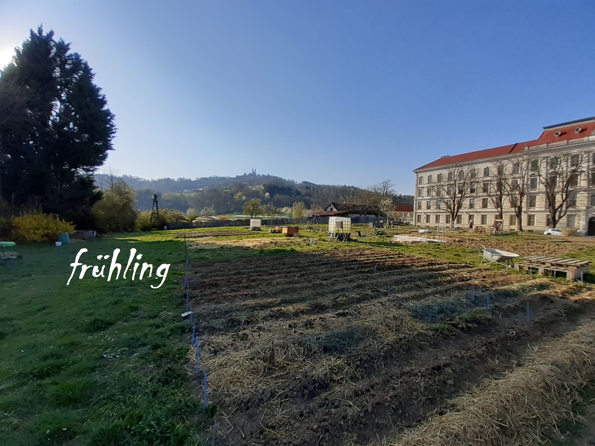 Petrinum Biogemeinschaftsgarten Ansicht Gemeinschaftsgarten im Frühling